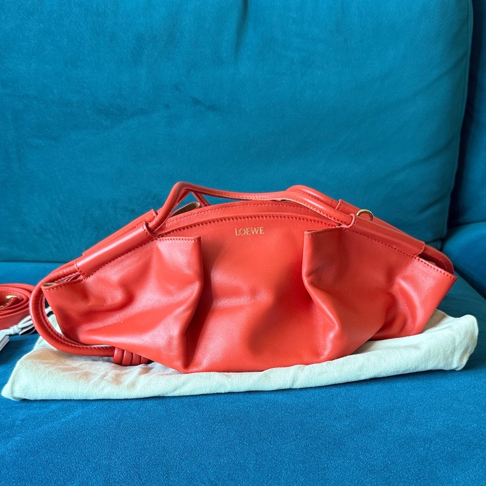 Loewe Paseo Bag - Brand New